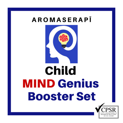 CHILD MIND GENIUS BOOSTER SET